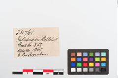 Etiketten zu Perlenkette (NHMW-PRAE-024765)
